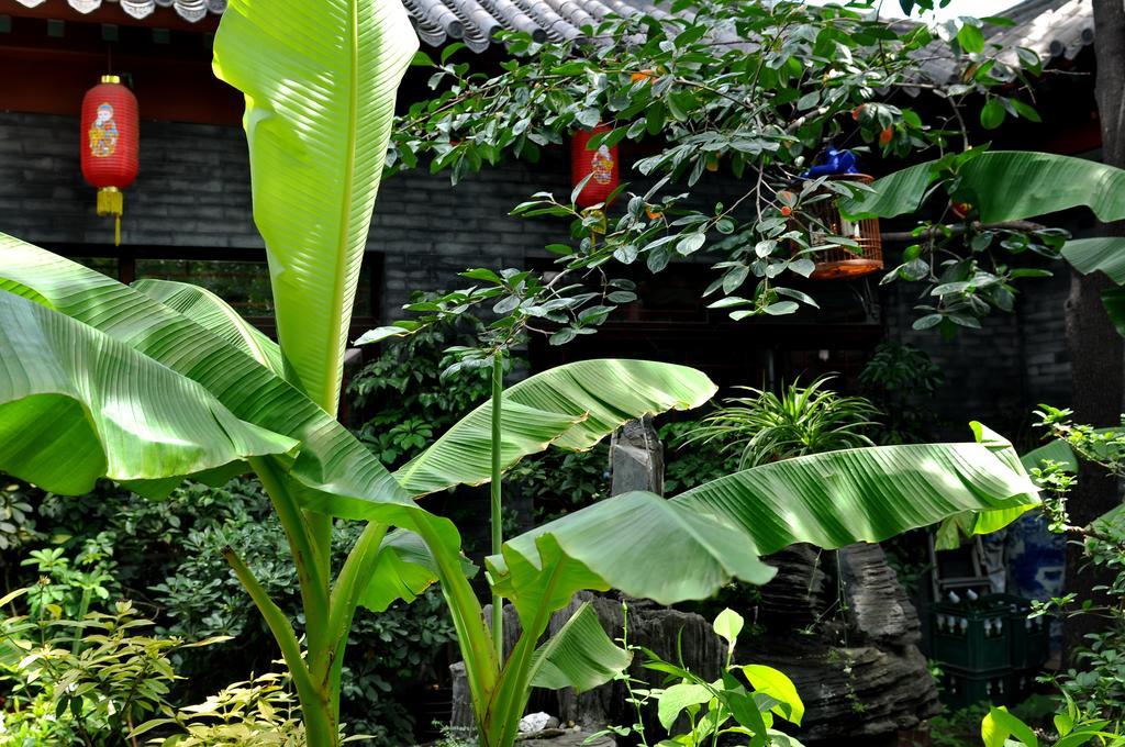 Hostel Red Lantern House Peking Exterior foto